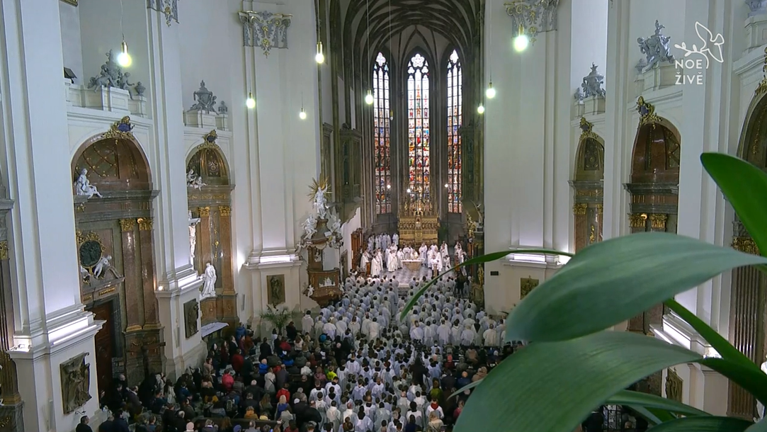 Ministrantská pouť do Brna na Missa Chrismatis